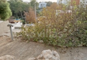 Casa de pueblo en venta en la España, Ciutadella de Menorca, ref: TR413738 foto