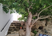 Casa de pueblo en venta en la España, Ciutadella de Menorca, ref: TR413738 foto