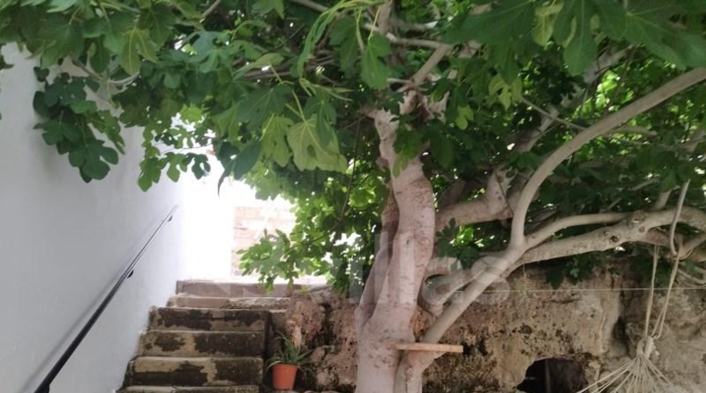 Islas Baleares - Ciutadella de Menorca - 375m2