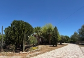 Chalet independiente con terreno en venta en la España, San Vicente del Raspeig, ref: TR413740 foto