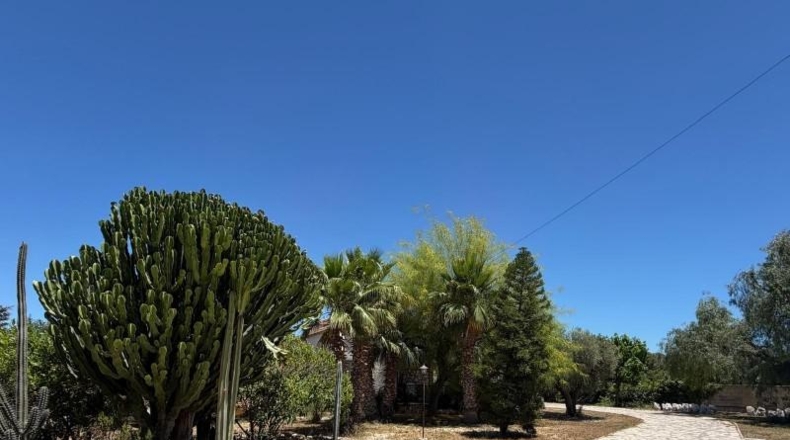 Alicante - San Vicente del Raspeig - 2660m2