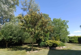 San Andrés del Rabanedo 323&nbsp;m²