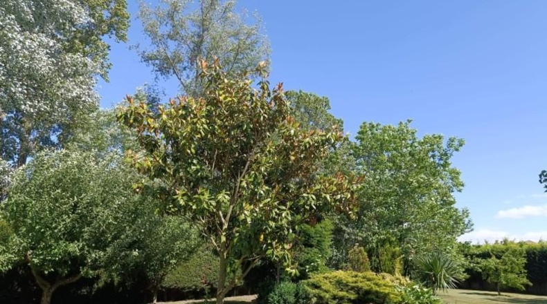 León - San Andrés del Rabanedo - 323m2