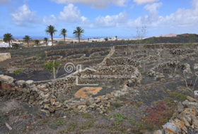 Teguise 5447&nbsp;m²