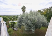 Detached villa with land for sale on España, Vinaròs, ref: TR277710 photo