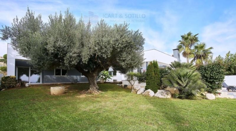 Castellón - Vinaroz - 1236m2