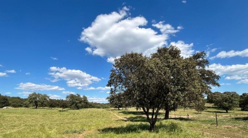 Seville - Alanís - 970000m2
