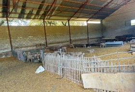 Foto 13