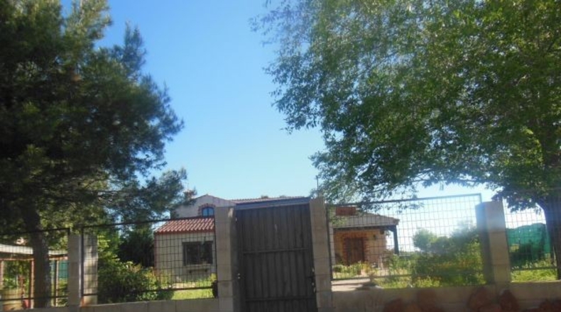 Guadalajara - Valdeaveruelo - 1134m2
