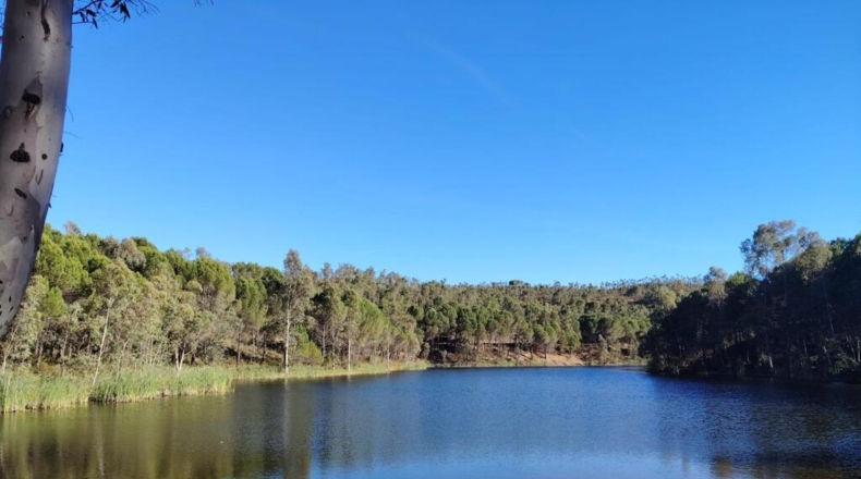 Huelva - Calañas - 74m2