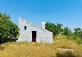 Masía con terreno en venta en Godall ref: TR413781 foto