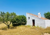 Masía con terreno en venta en Godall ref: TR413781 foto