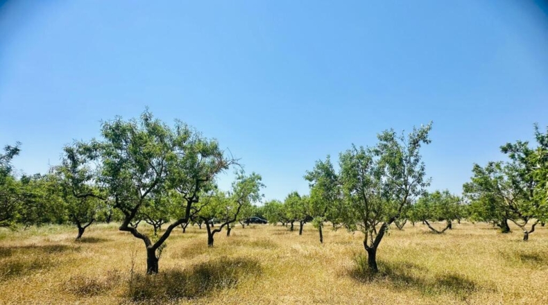 Tarragona - Godall - 28m2