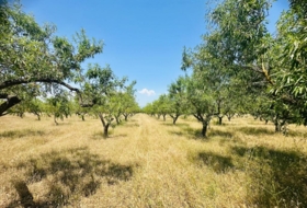 Godall 28&nbsp;m²