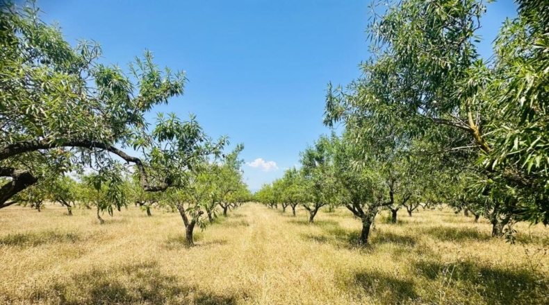 Tarragona - Godall - 28m2