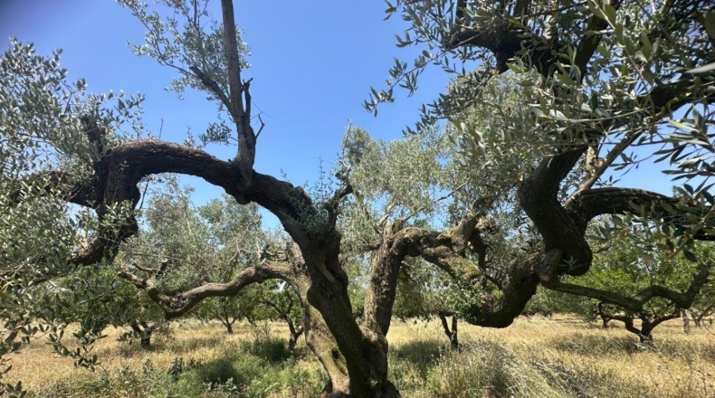 Tarragona - Godall - 28m2
