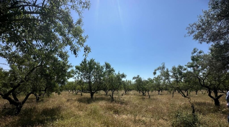 Tarragona - Godall - 28m2