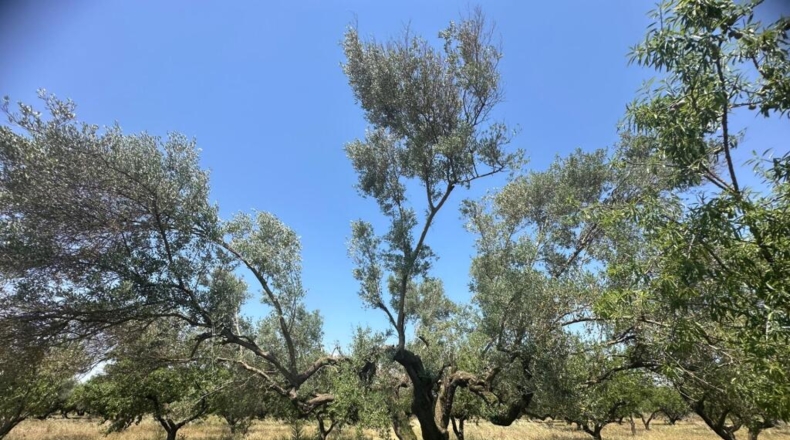 Tarragona - Godall - 28m2