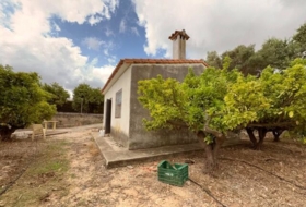 Sanet y Negrals 3127&nbsp;m²