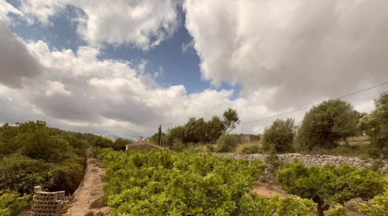 Alicante - Sanet y Negrals - 3127m2