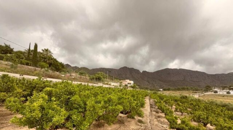 Alicante - Sanet y Negrals - 3127m2