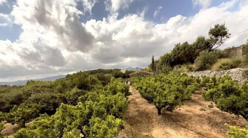 Alicante - Sanet y Negrals - 3127m2