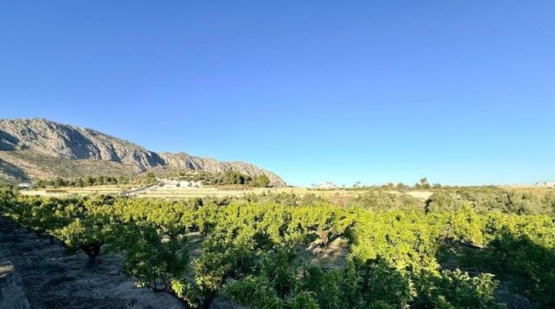 Alicante - Sanet y Negrals - 3127m2