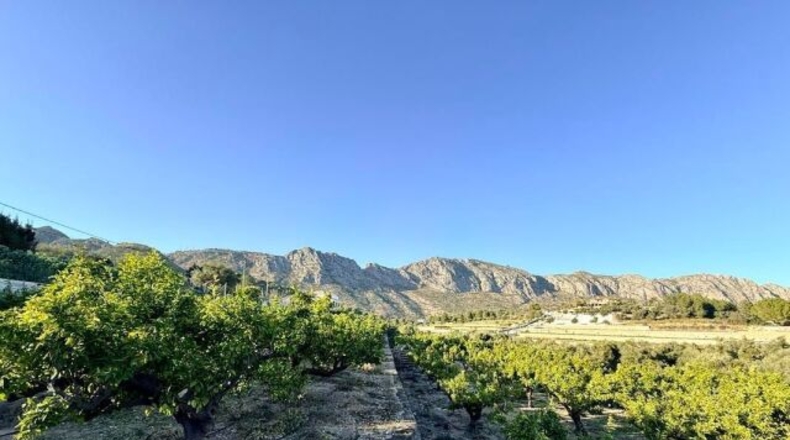Alicante - Sanet y Negrals - 3127m2