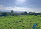 Casa con terreno en venta en la VILLAMAR, Ponteo, ref: TR413788 foto