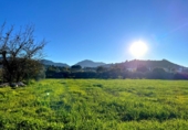 Masia with land for sale in Antequera ref: TR412995 photo