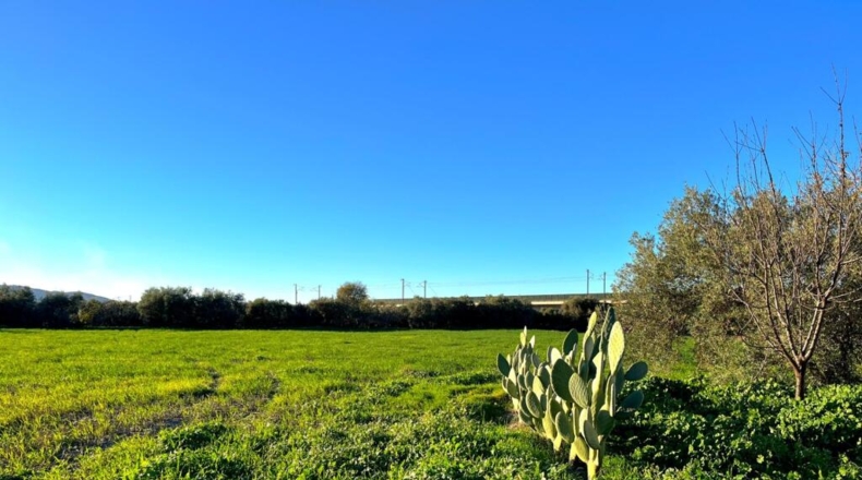 Málaga - Antequera - 76m2