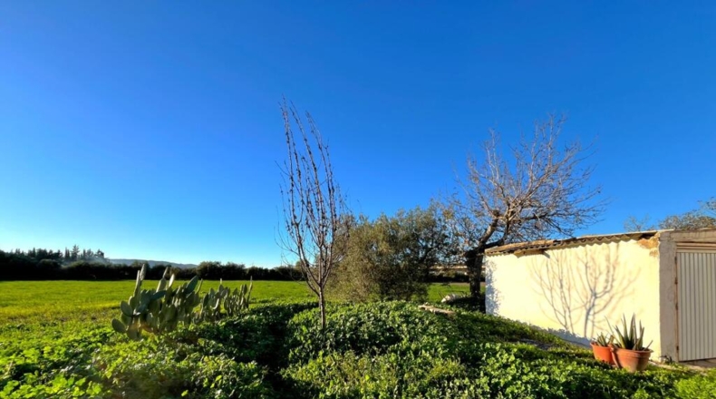 Málaga - Antequera - 76m2