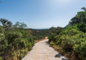 Masia with land for sale in Antequera ref: TR412993 photo