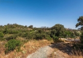 Masia with land for sale in Antequera ref: TR412993 photo