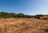 Masia with land for sale in Antequera ref: TR412993 photo