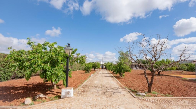 Málaga - Villanueva del Rosario - 132m2