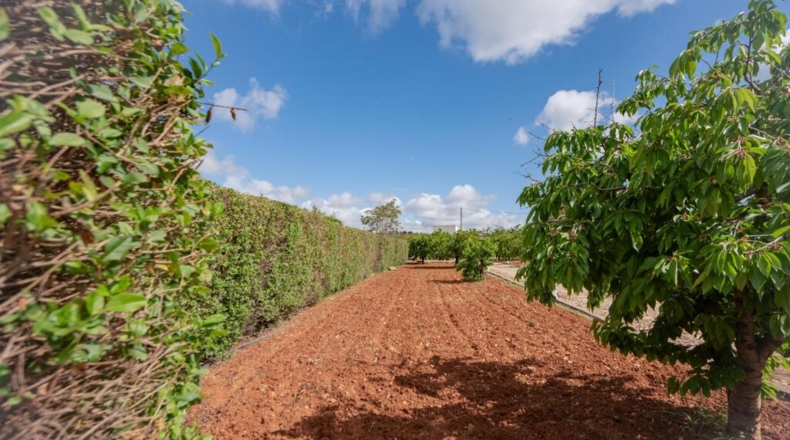 Málaga - Villanueva del Rosario - 132m2