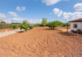 Detached villa with land for sale in Villanueva del Rosario ref: TR412996 photo