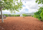 Detached villa with land for sale in Villanueva del Rosario ref: TR412996 photo