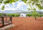 Detached villa with land for sale in Villanueva del Rosario ref: TR412996 photo
