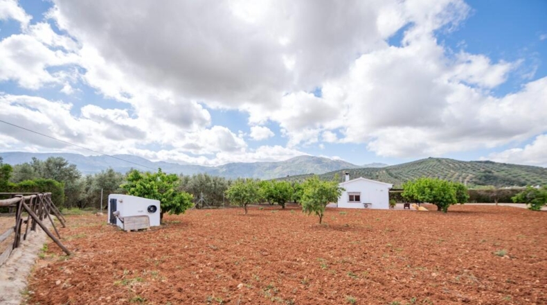 Málaga - Villanueva del Rosario - 132m2