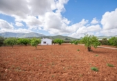Detached villa with land for sale in Villanueva del Rosario ref: TR412996 photo
