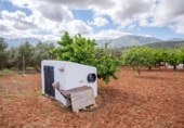 Detached villa with land for sale in Villanueva del Rosario ref: TR412996 photo
