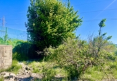 Terreno no urbanizable en venta en Bellreguard ref: TR413786 foto