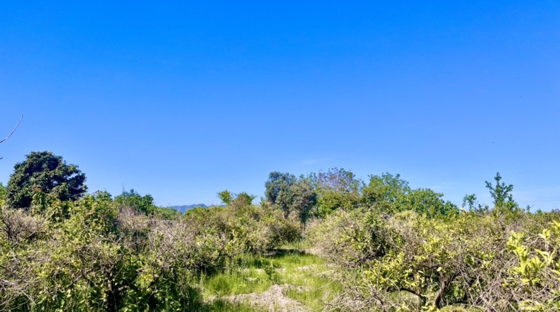 Valencia - Bellreguard - 2322m2