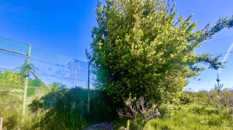 Valencia - Bellreguard - 2322m2