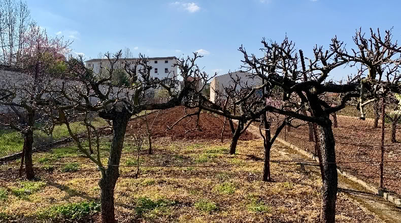 La Rioja - Baños de Río Tobía - 853m2