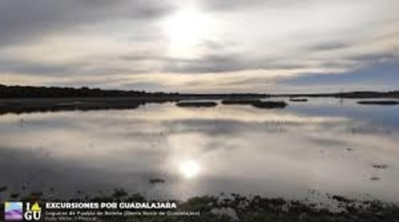 Guadalajara - Matarrubia - 695m2