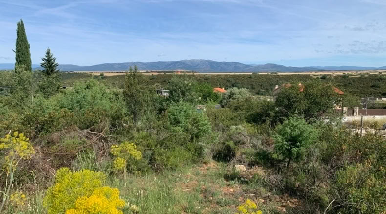 Guadalajara - Matarrubia - 695m2