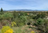 Suelo urbano en venta en la Avenida de Valderomeros, Matarrubia, ref: TR413807 foto